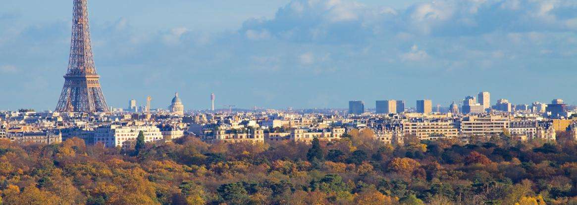 Bois de Boulogne in Summer: The Green Lung of Western Paris